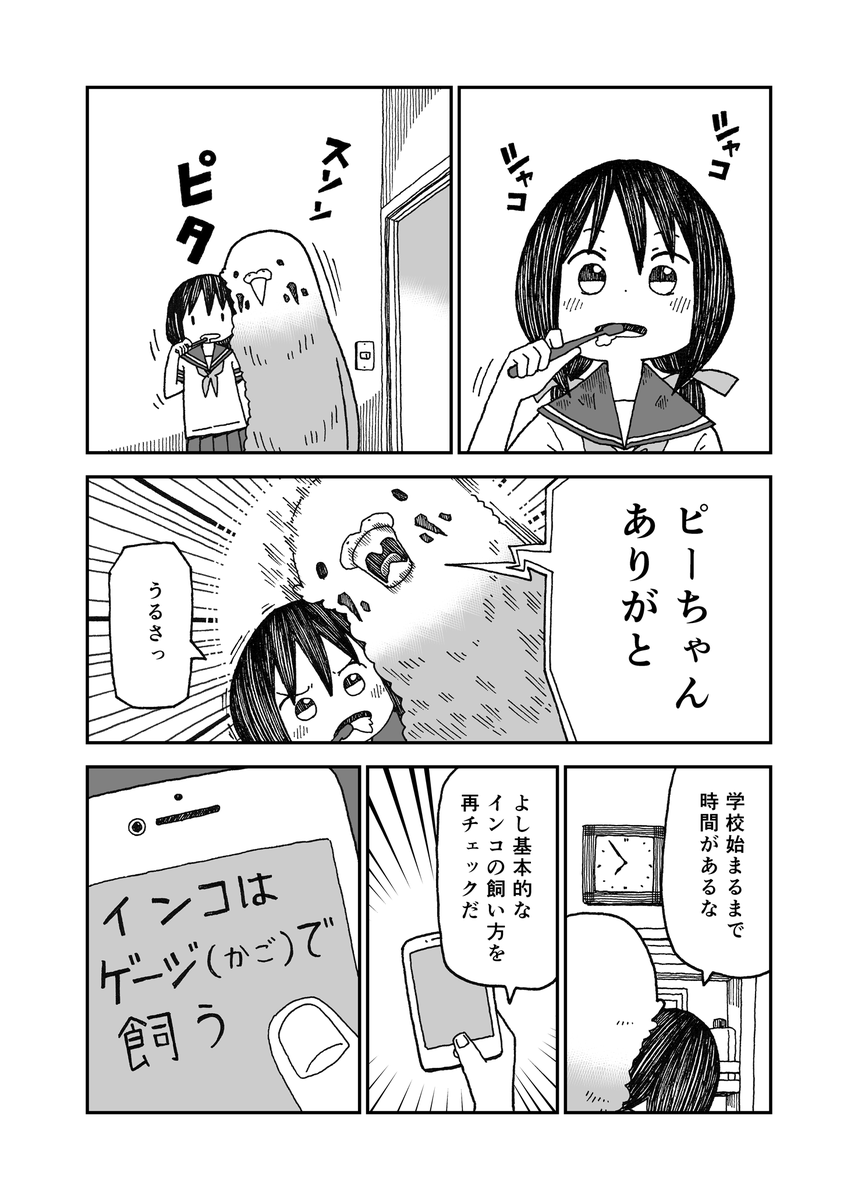うちのピーちゃん① 