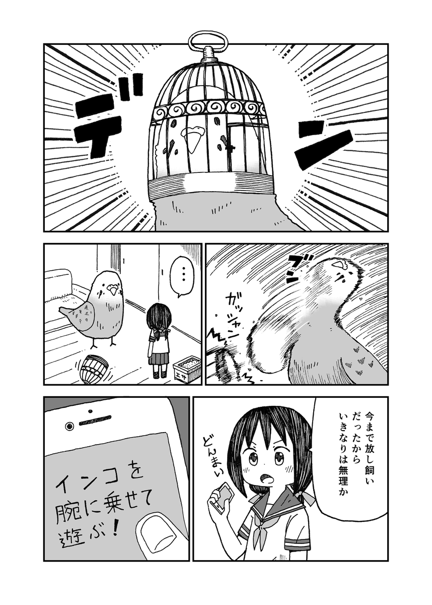 うちのピーちゃん① 