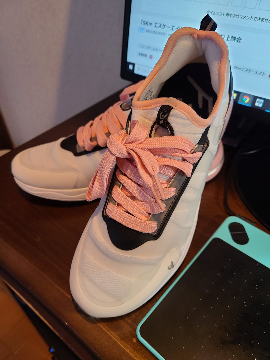 気が狂ってるうちに買い物をしろというモットーに従って買った村雲江みたいなスニーカーです 