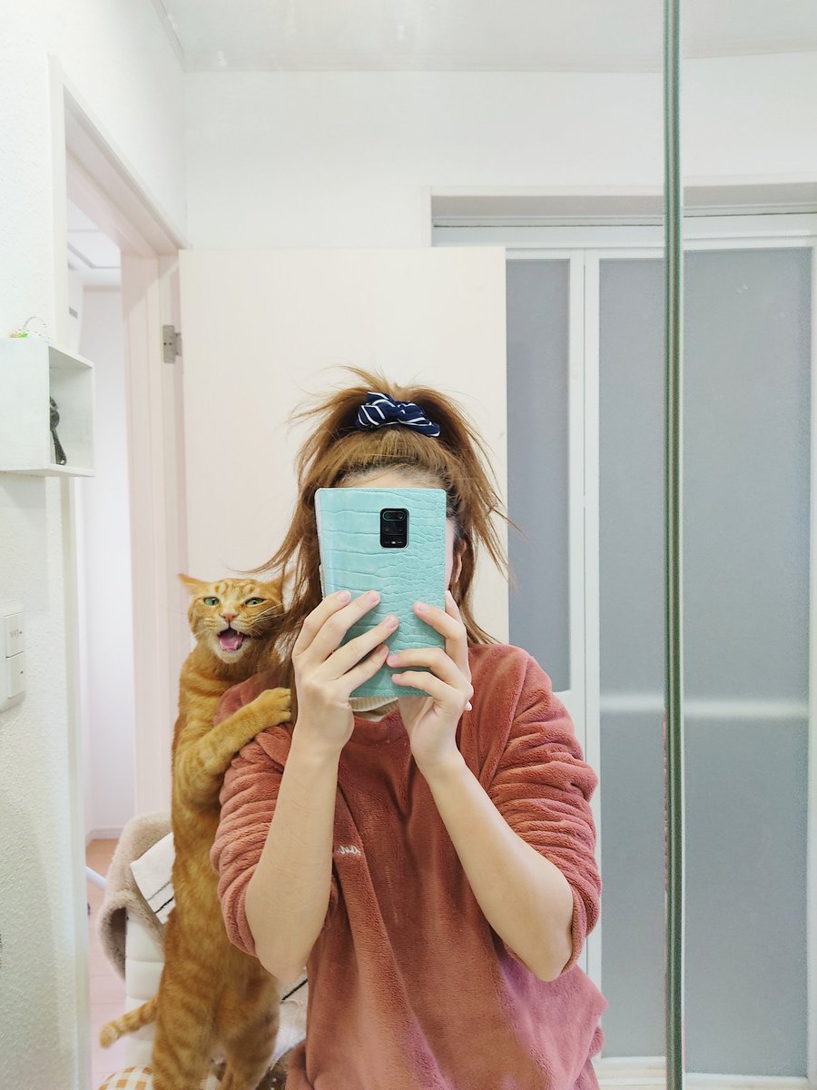 猫がツーショット写真を撮られるのに慣れ過ぎてポーズを決めてくれるので、いつもカップル写真みたいになる