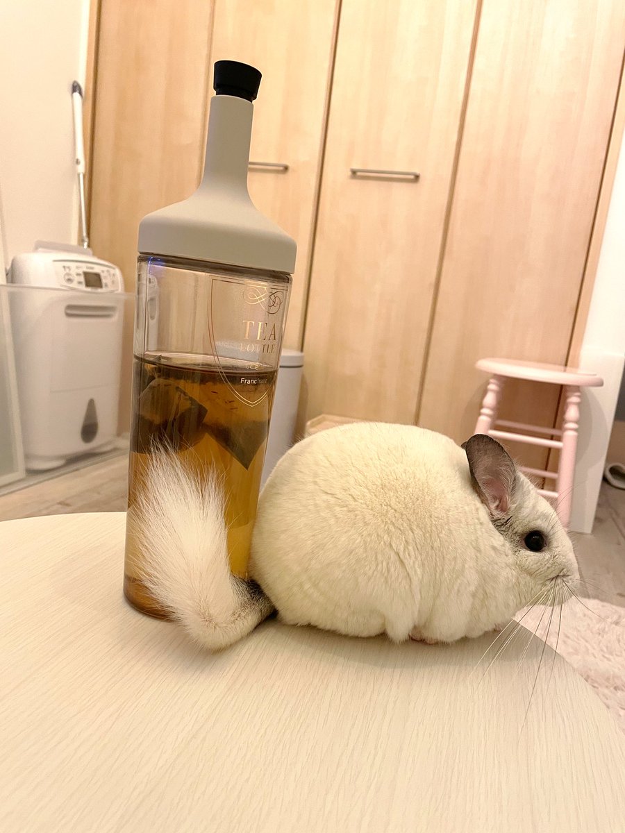 ほうじ茶で尻を冷やすな 