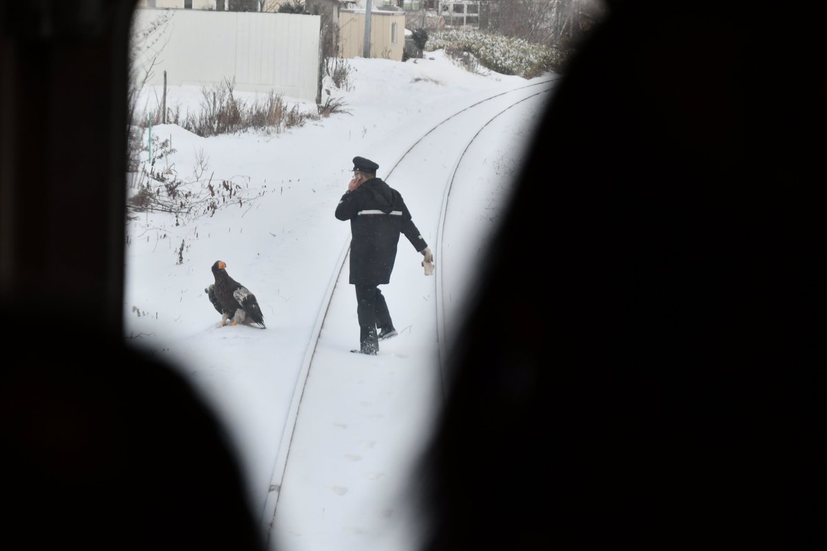 列車止めて南斜里下車を危なくした害悪とり鉄はコイツです。 