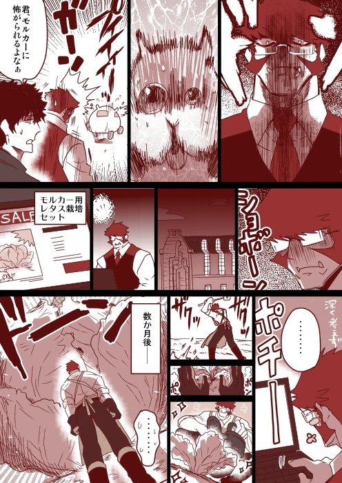 『クラウスさんとモルカーとでっかいレタス』 