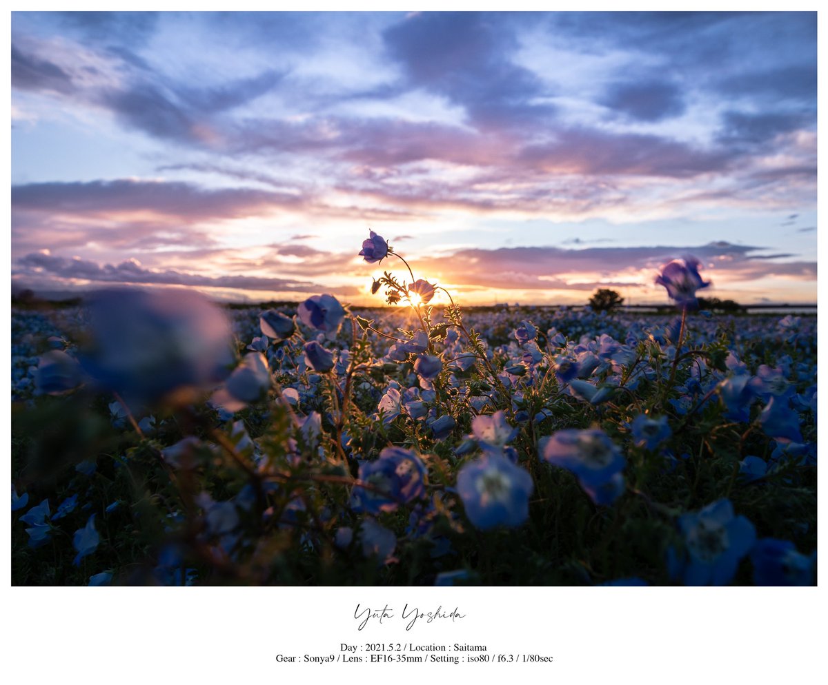 今年一のお気に入りが撮れたので、1秒だけお時間ください