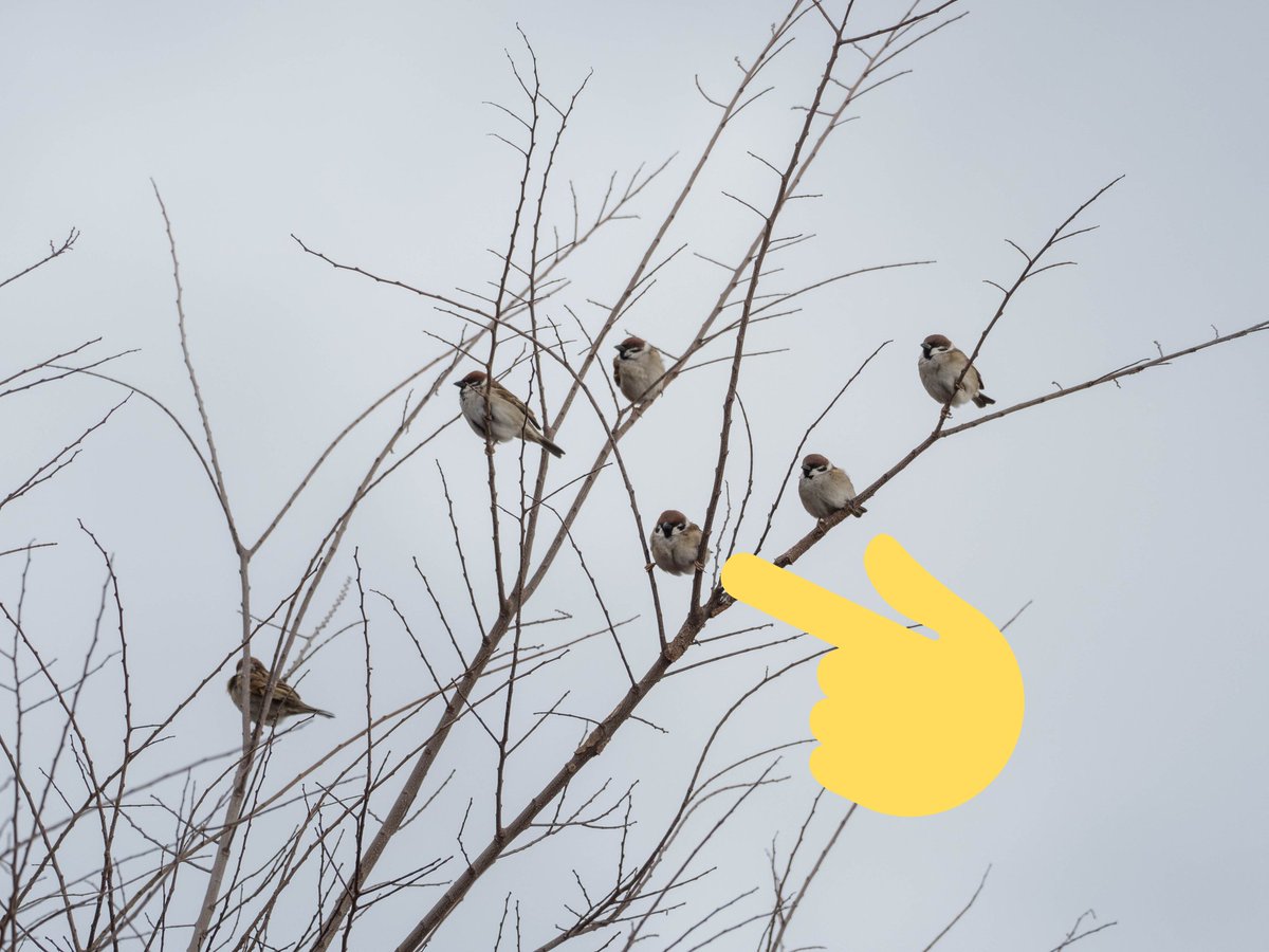 キミだけつかまり方おかしいよ。 