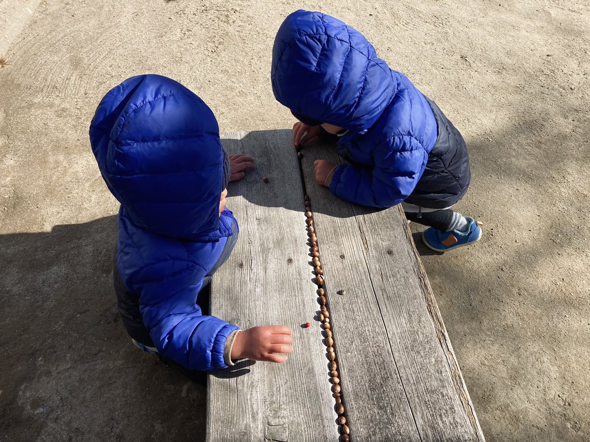 かれこれ1時間ぐらい公園のドングリを集めてはベンチに並べてる