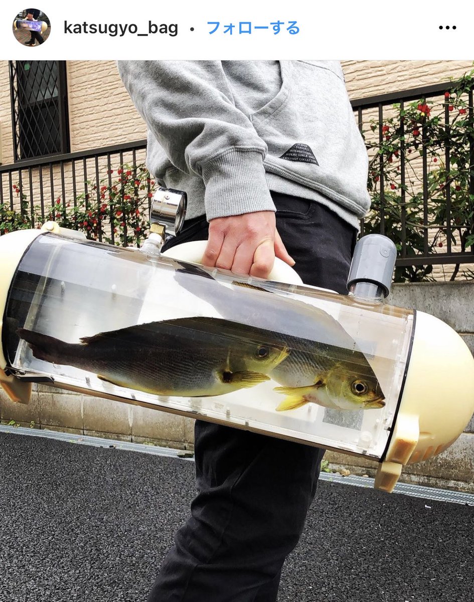 今は活魚を持ち運べる、活魚バッグのことを考えてる 