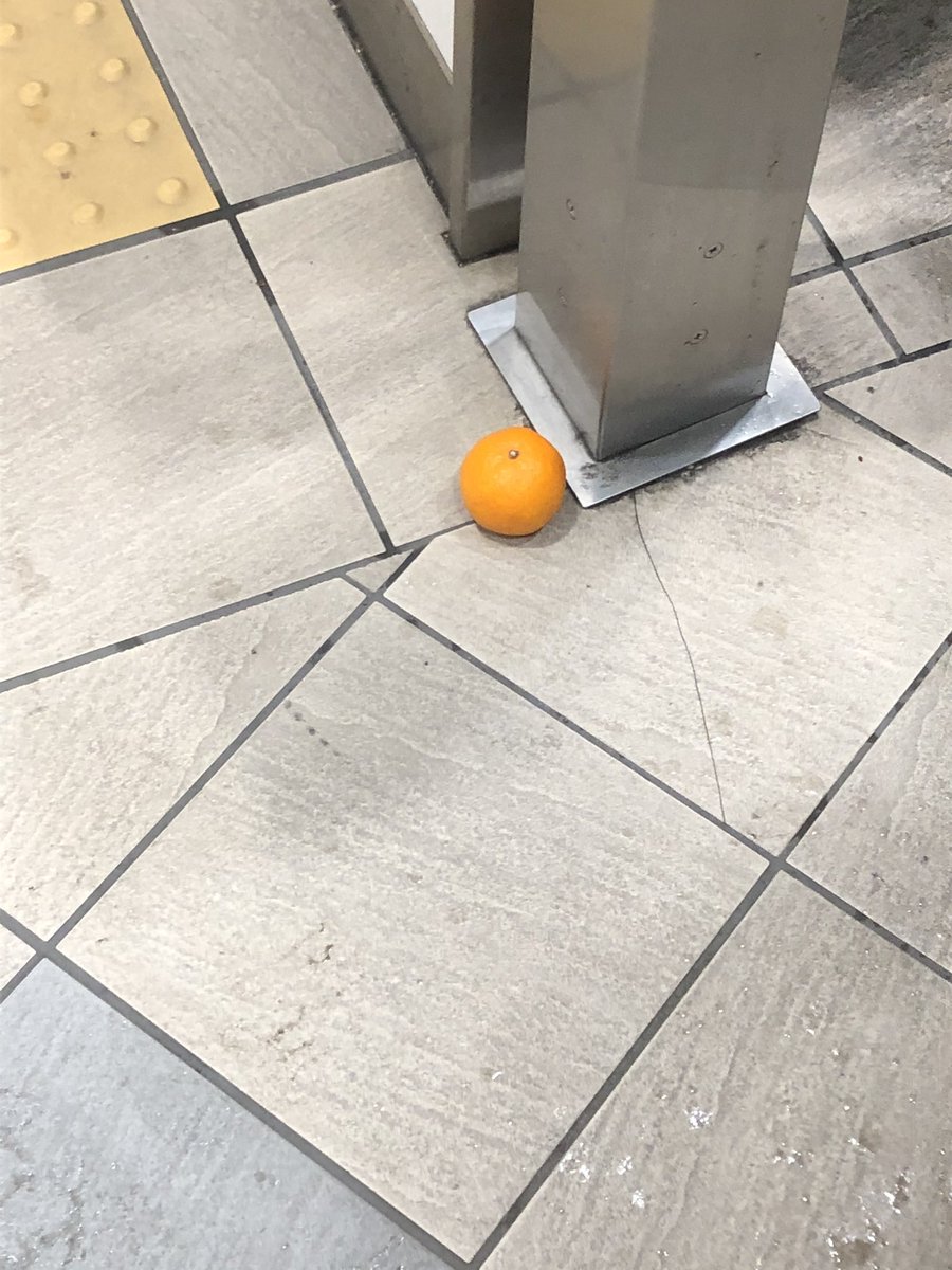 この世界、クソでかい鏡餅説がありますね