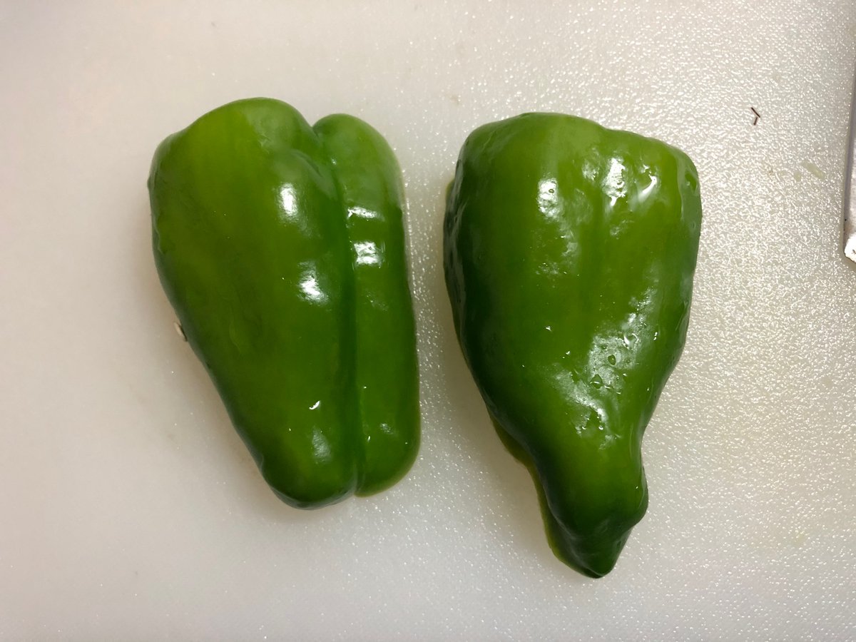 繊維に沿って縦に切ると苦味成分が出にくいので苦味を抑えられます