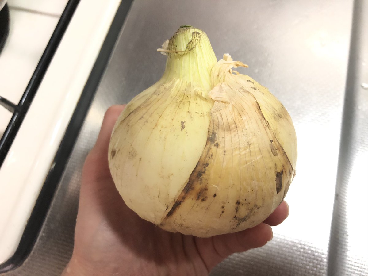 見かけたらぜひ試してほしいのが、とても簡単な玉ねぎごはん