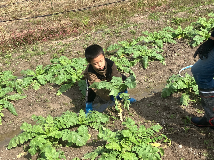 【林寺デイ】秋の遠足