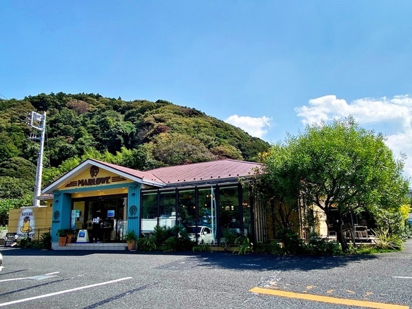 勤務場所であるマーロウ逗葉新道店
マーロウ随一の基幹店です。