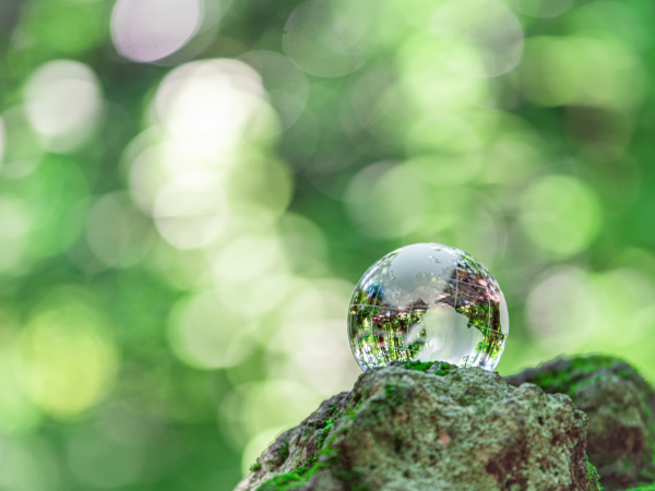 SDGs 社会貢献活動