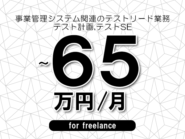 【50～65万円／フリーランス】＜テスト計画,テストSE/事業管理システム関連のテストリード業務＞◆完全週休2日制　◆年間休日120日以上　◆出張費用別途支給