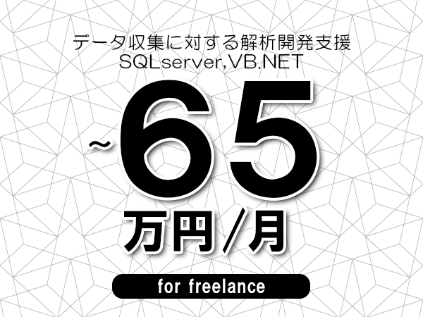 【55～65万円／フリーランス】＜SQLserver,VB.NET/データ収集に対する解析開発支援＞◆完全週休2日制　◆年間休日120日以上　◆出張費用別途支給
