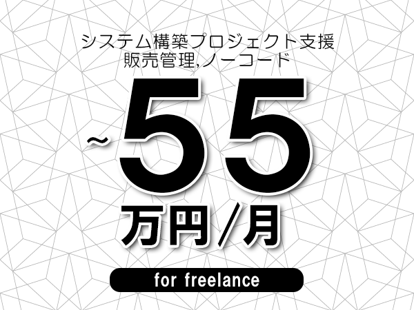 【45～55万円／フリーランス】＜販売管理,ノーコード/システム構築プロジェクト支援＞◆完全週休2日制　◆年間休日120日以上　◆出張費用別途支給