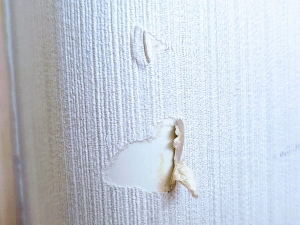 壁紙破損のチェック