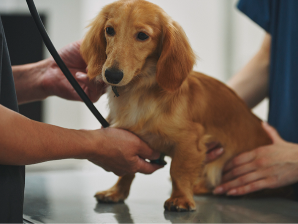 年間約5,300件の検査に対応しています