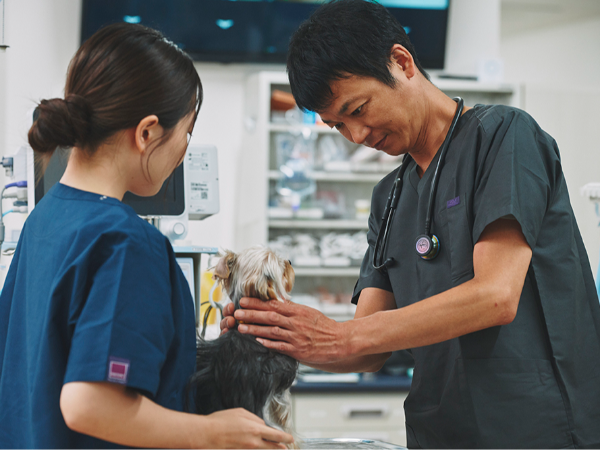 【動物看護師/正社員】完全週休2日制&シフト制 / 賞与年2回&昇給年1回 / 残業ほぼなし / 福利厚生&研修や成長のサポート充実 /  子育て中の女性も多く活躍中 / 一生モノの専門スキルが身につく◎