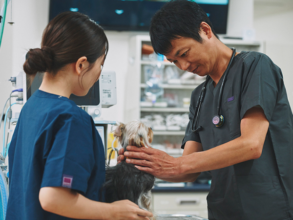 仕事とプライベートを両立させながら、あなたらしく働けます