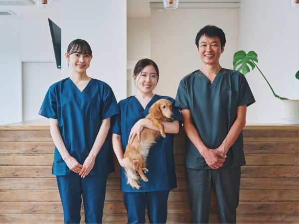 私たちについて