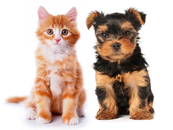 制度・環境・文化