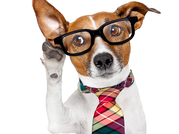 社員インタビュー