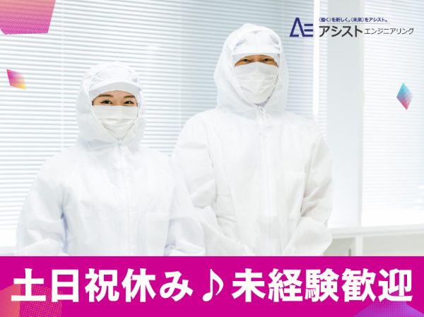 富士川町<カンタン流れ作業・幅広い年齢層の方活躍中>食品製造工場での検品・箱詰め作業【AE3293】