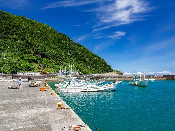 自然豊かな八丈島で働きませんか？