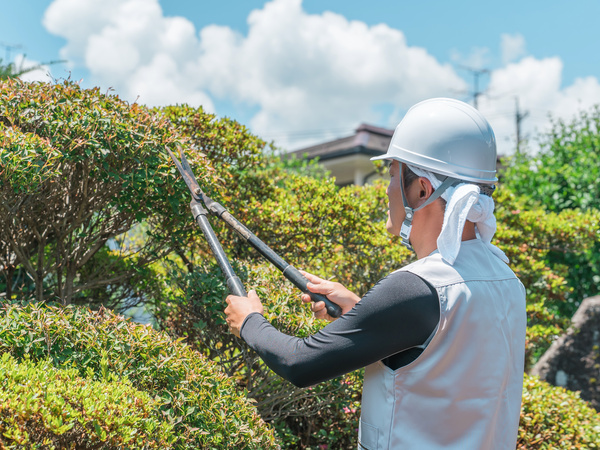 まずは道具などの名前から覚えます。
先輩が丁寧に教えていきますよ。