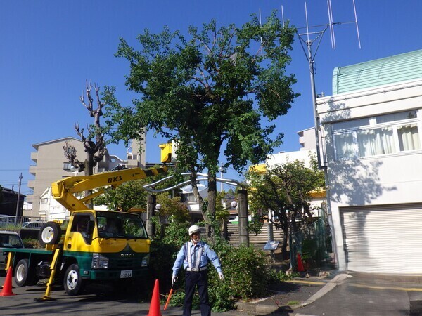 時には重機も使います。
運転免許は入社後に取得可能です！