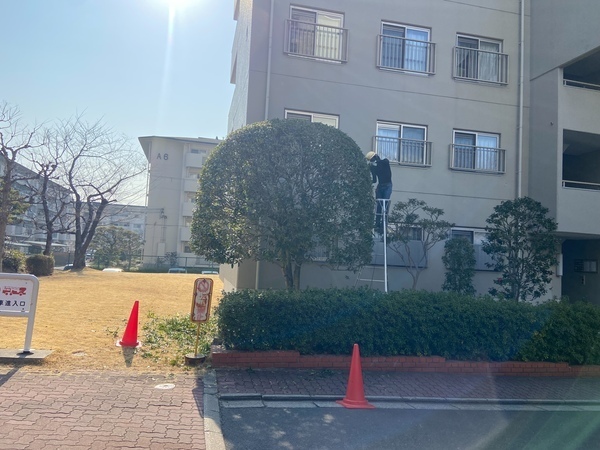 ＜正社員/造園業職人＞◆未経験大歓迎！◆ブランクありも問題なし！◆残業ほぼなし◆賞与年2回アリ！◆資格取得も応援・資格手当アリ◆独立を考える方にもピッタリ◆服装も髪型も完全自由！◆平日・土曜休みも相談OK！◆車・バイク通勤もOKで通いやすい！