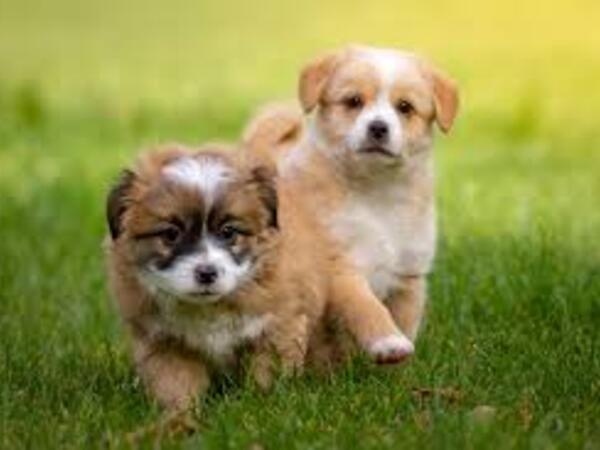 かわいい動物たちにも
癒されます♪