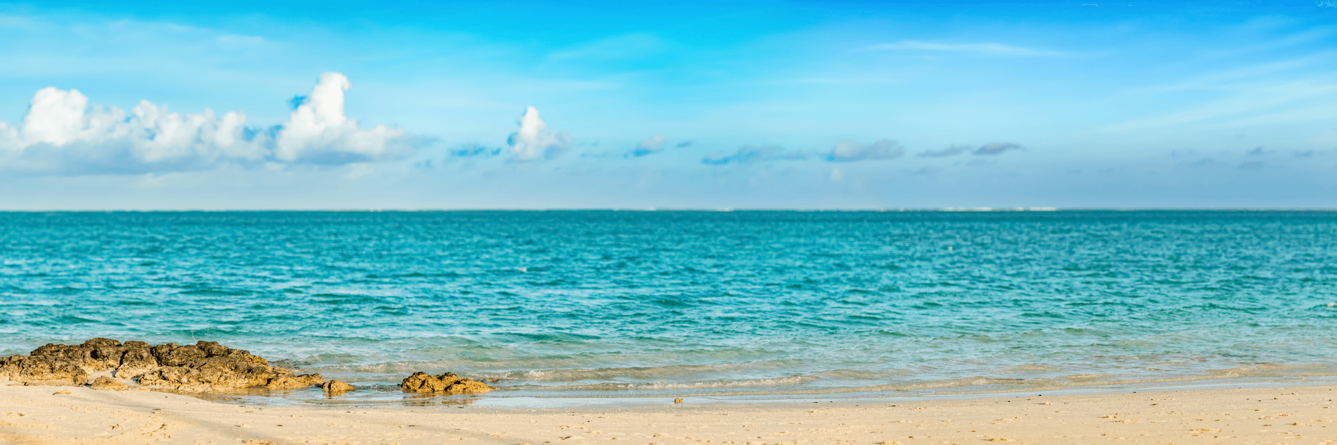 エルコムウォーク株式会社