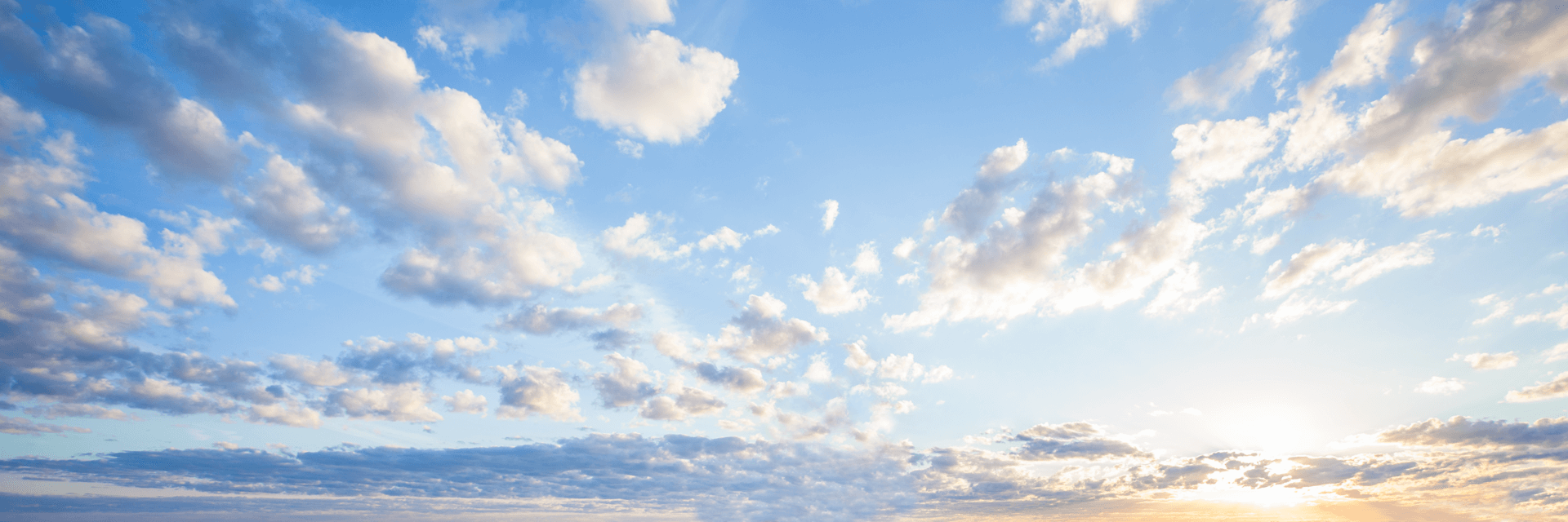 株式会社ゼロン