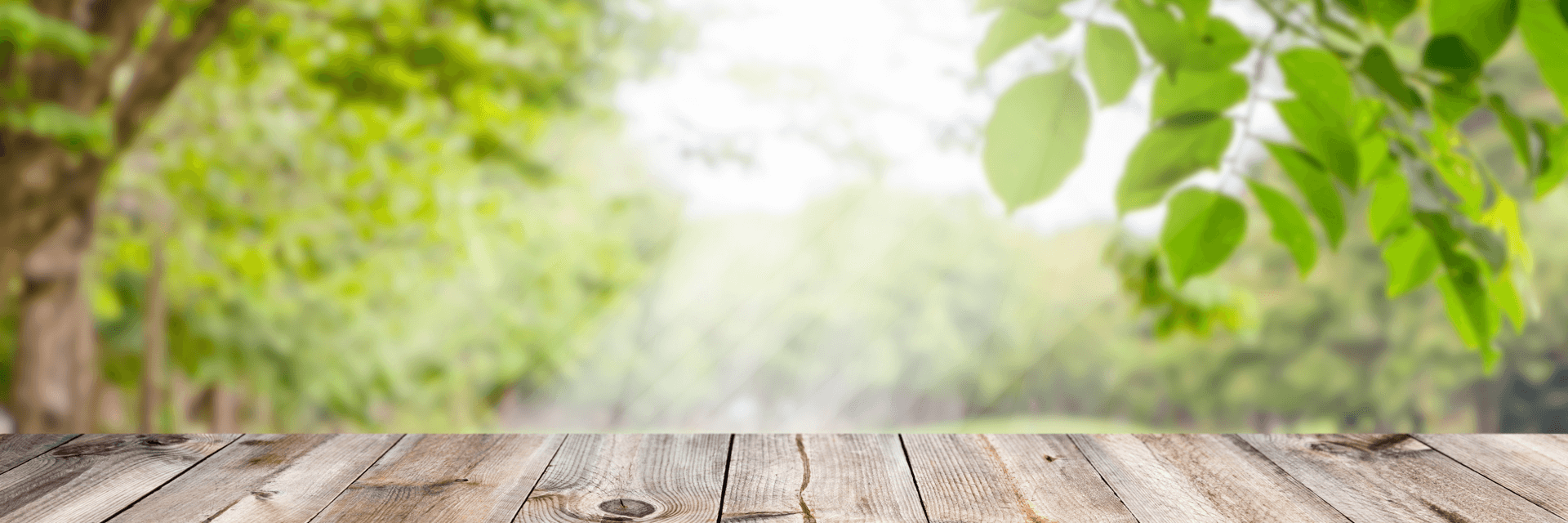 ライフデザイナーズ