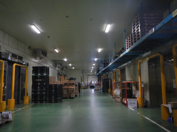 充実の教育・育成制度