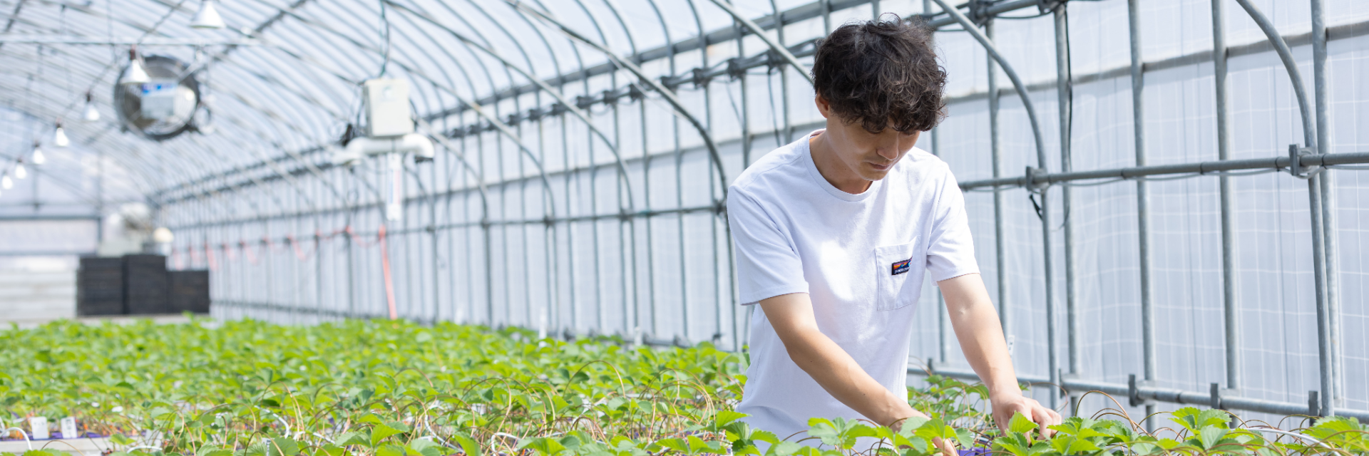 株式会社ミヨシグループ