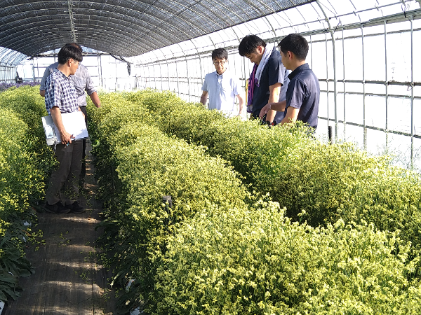 制度・環境・文化