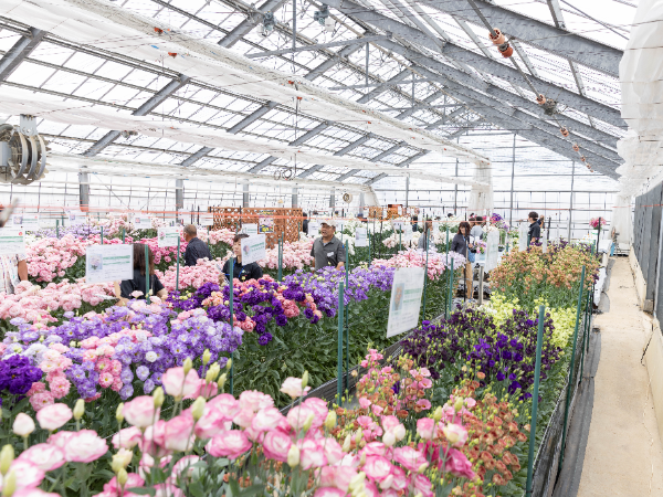 充実した教育制度で、じっくりと成長できる環境