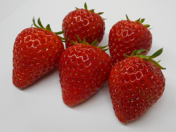 海外展開の充実と、種子系イチゴで切り拓く新たな未来