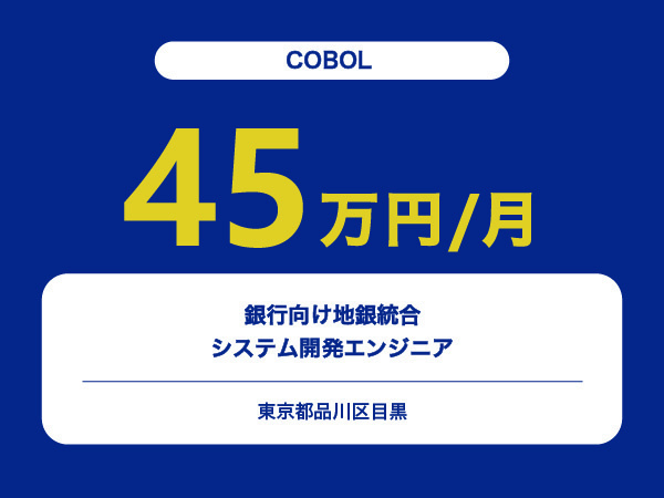 ★【~45万円/フリーランス】≪COBOLエンジニア≫銀行向け地銀統合システム開発※30～50代活躍中!!