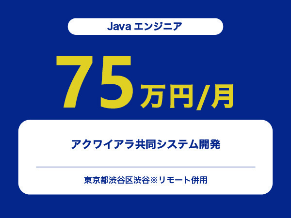 ★【~75万円/フリーランス】≪Javaエンジニア≫アクワイアラ共同システム開発※30～50代活躍中!!