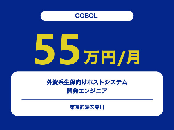 ★【~55万円/フリーランス】≪COBOLエンジニア≫外資系生保向けホストシステム開発※30～50代活躍中!!