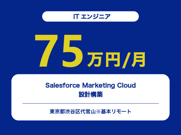 ★【~75万円/フリーランス】≪ITエンジニア≫Salesforce Marketing Cloud設計構築※30～50代活躍中!!