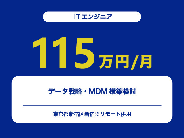 ★【~115万円/フリーランス】≪ITエンジニア≫データ戦略・MDM構築検討※30～50代活躍中!!