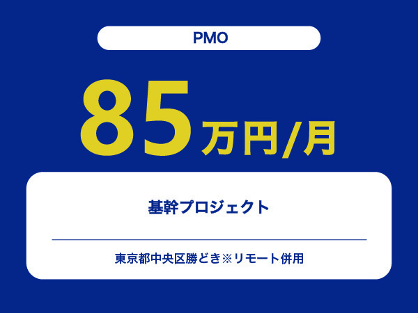 ★【~85万円/フリーランス】≪PMO≫基幹プロジェクト※30～50代活躍中!!