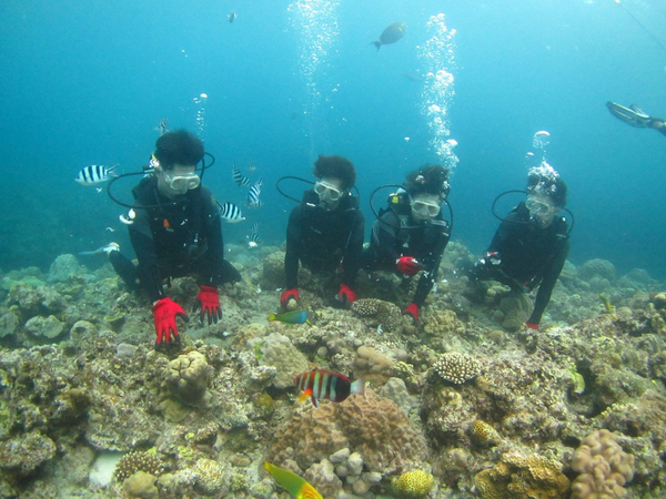 社員インタビュー