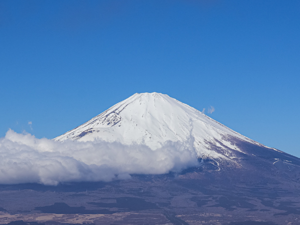 私たちについて