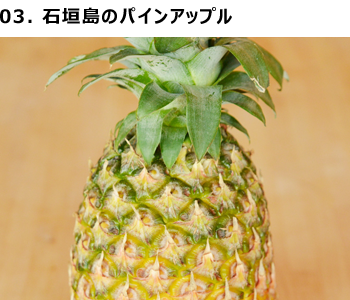 03-pineapple.png?mtime=20180403164819#asset:1176365